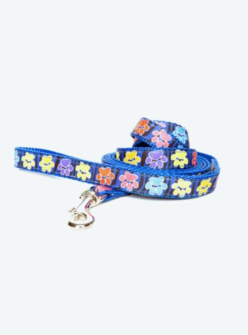 Blue dog leash