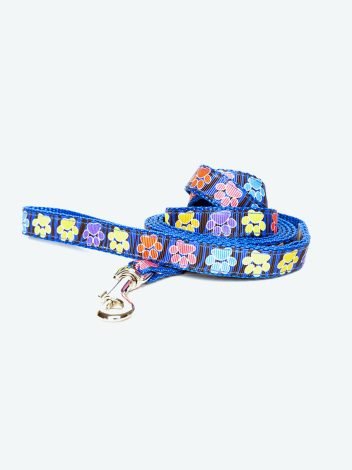 Blue dog leash